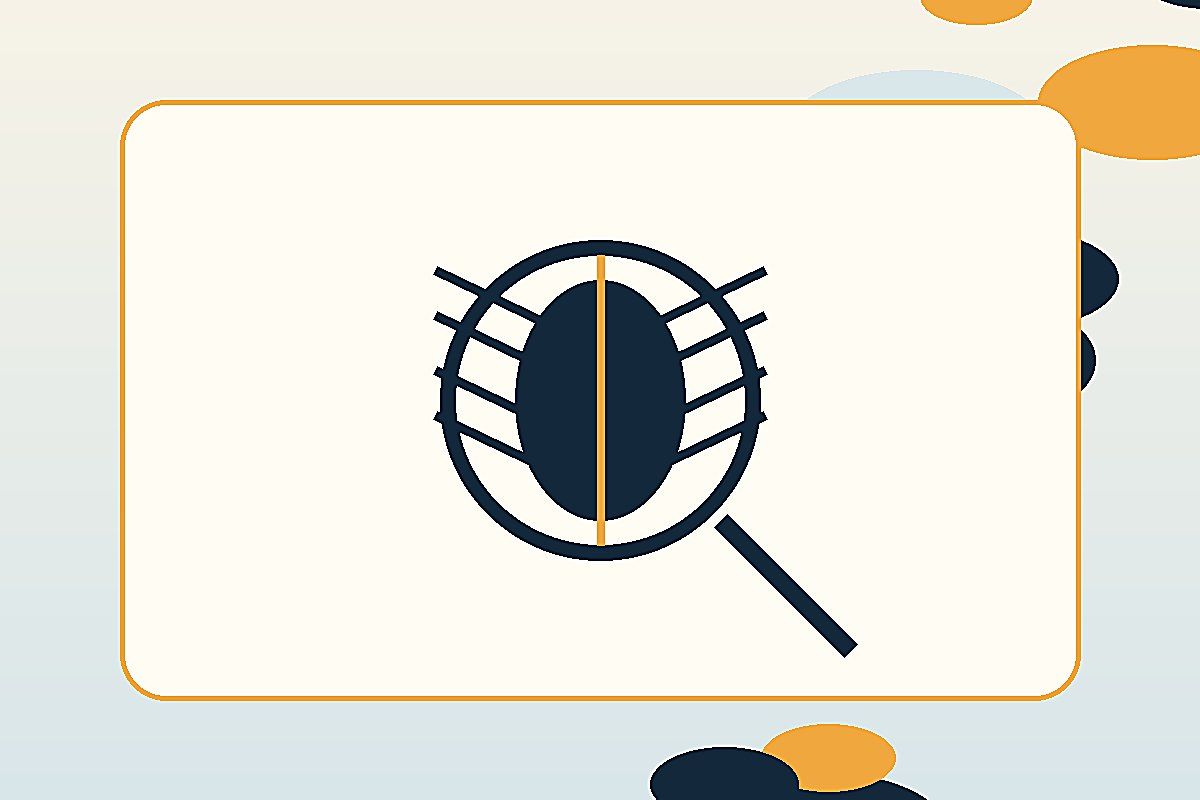 Larves dans cuisine : identifier, prévenir et préparer le bon diagnostic