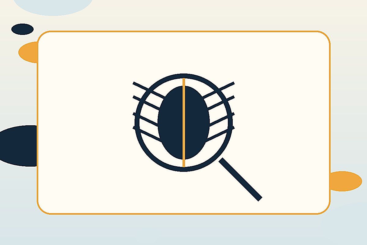 Punaises après voyage : identifier, prévenir et préparer le bon diagnostic