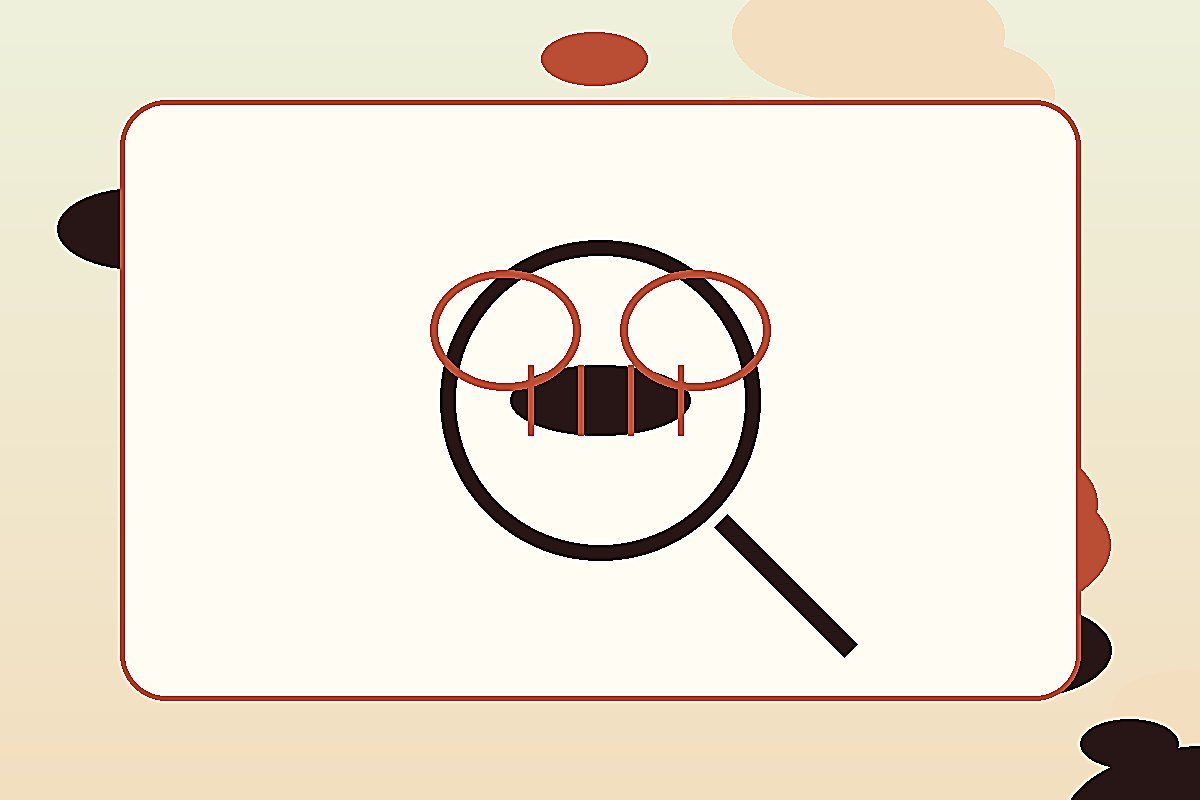 Identifier insecte volant : identifier, prévenir et préparer le bon diagnostic