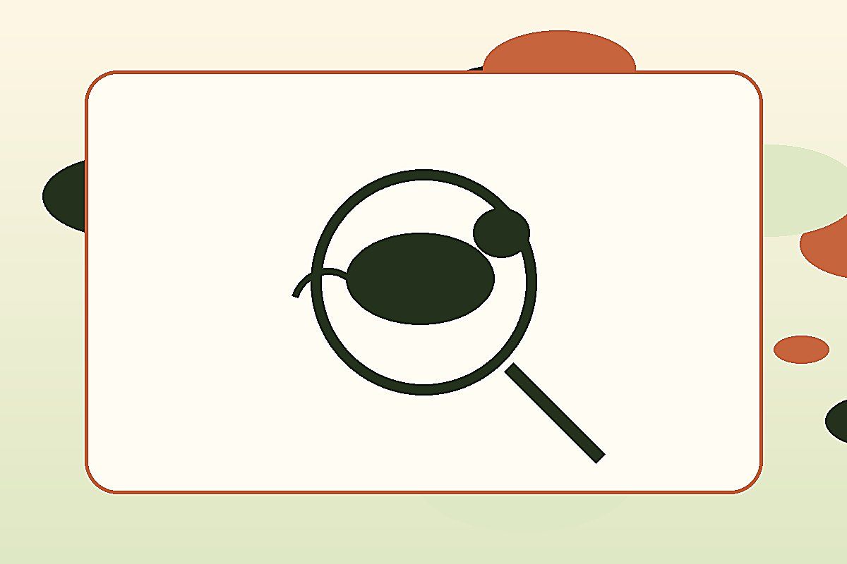 Urgence rongeurs : identifier, prévenir et préparer le bon diagnostic