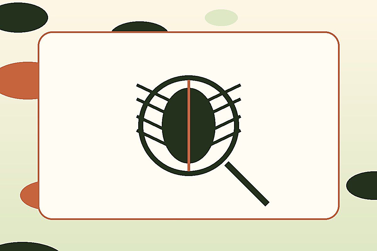 Nettoyer cuisine soir : identifier, prévenir et préparer le bon diagnostic
