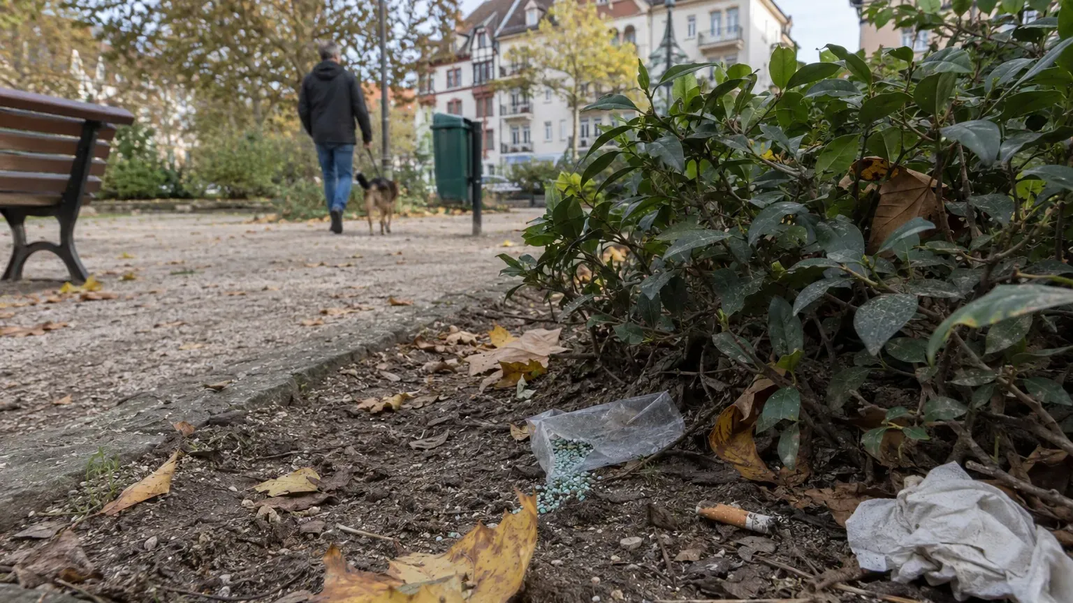 « Attention à vos enfants et vos animaux » : de la mort-aux-rats retrouvée dans un parc de Strasbourg